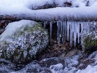 Stein mit Eismantel und Ast mit Eiszapfenreihe am Bach